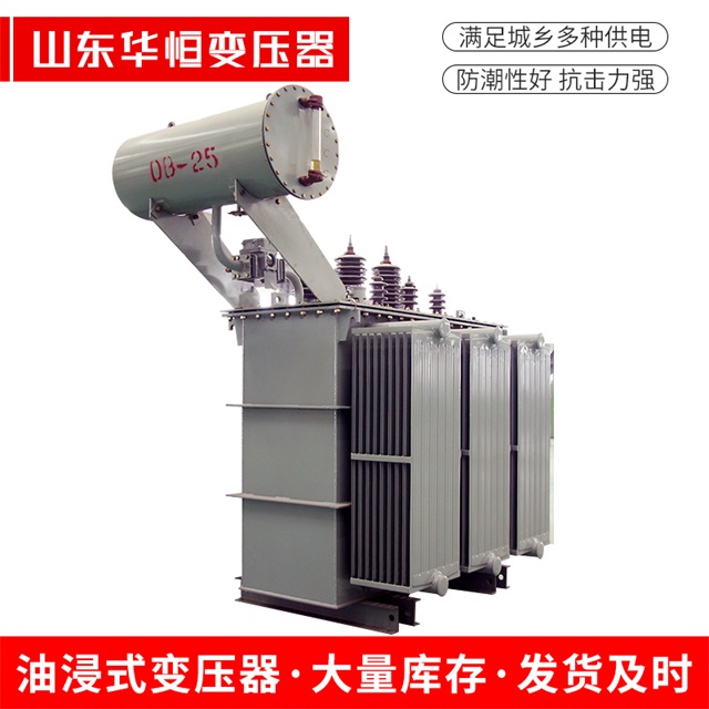 S11-10000/35庐江庐江庐江电力变压器厂家
