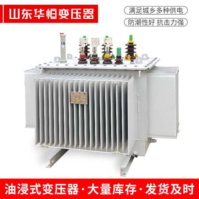 S13-10000/35庐江庐江庐江电力变压器